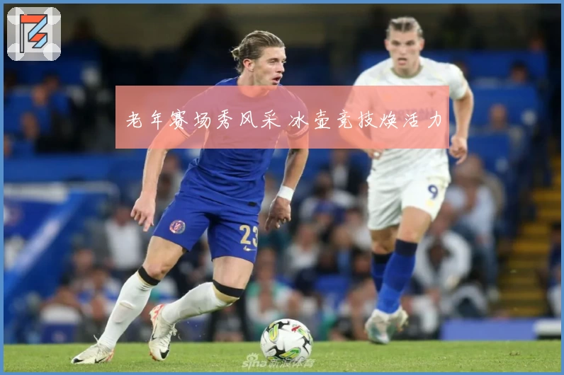 老年赛场秀风采 冰壶竞技焕活力