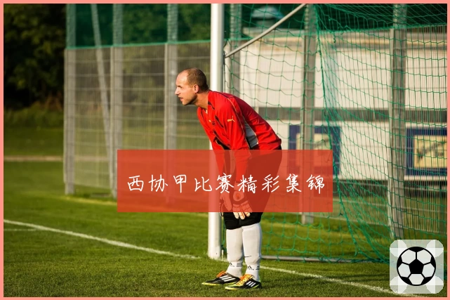 西协甲比赛精彩集锦