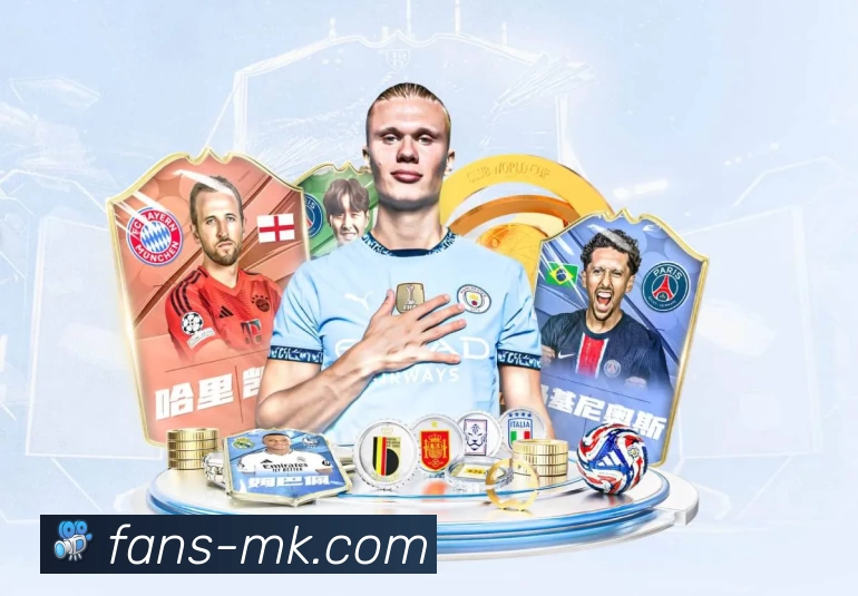 多媒体互动体验